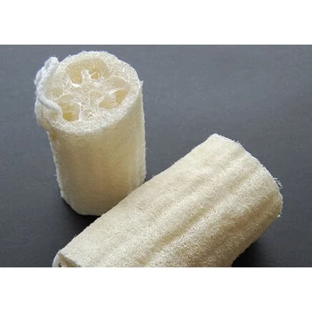 服務(wù)好絲瓜絡(luò)進(jìn)口報(bào)關(guān)