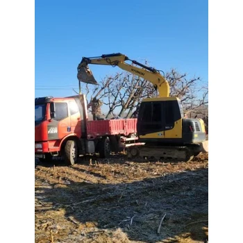 大連普蘭店大量出售綠化苗木綠化苗圃