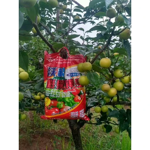 根系發(fā)達(dá)，坐果穩(wěn)實(shí)，甜脆抗裂為峰肥業(yè)沃根膨果鉀寶