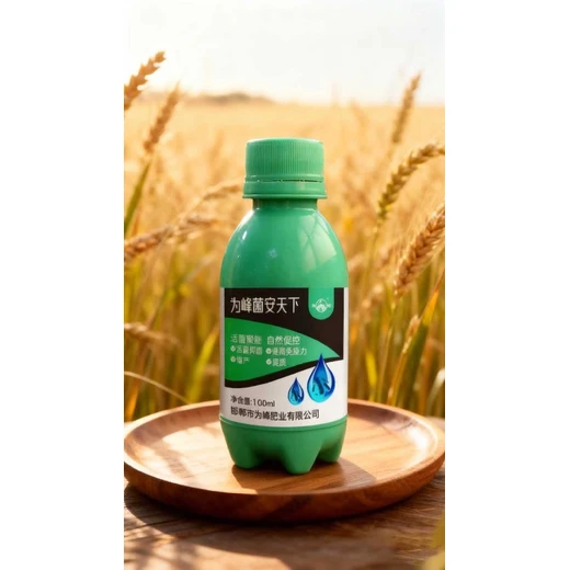 保葉護(hù)果防落，提高坐果率菌安天下微生物菌劑作用