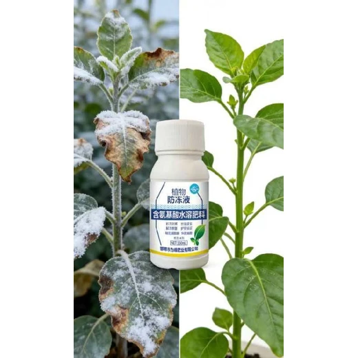 激活植物體酶活性，提高抗寒能力植物防凍液代理