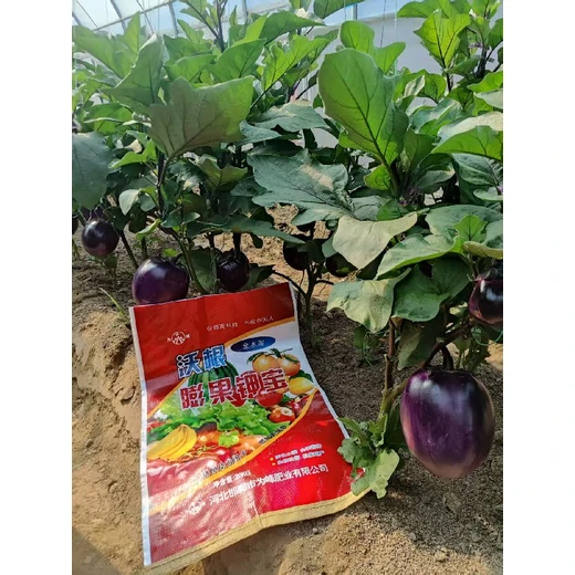 土沃根壯，花果雙優(yōu)，甜靚耐運沃根膨果鉀寶效果好