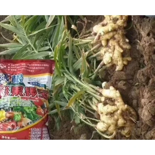 鎂果鉀寶蔬菜根旺苗壯提質(zhì)增產(chǎn)