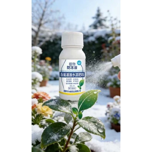 生根壯苗，預(yù)防凍害植物防凍液效果好