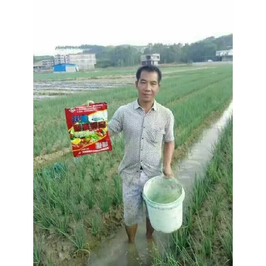 生根壯苗，保花保果膨果防裂鎂果鉀寶