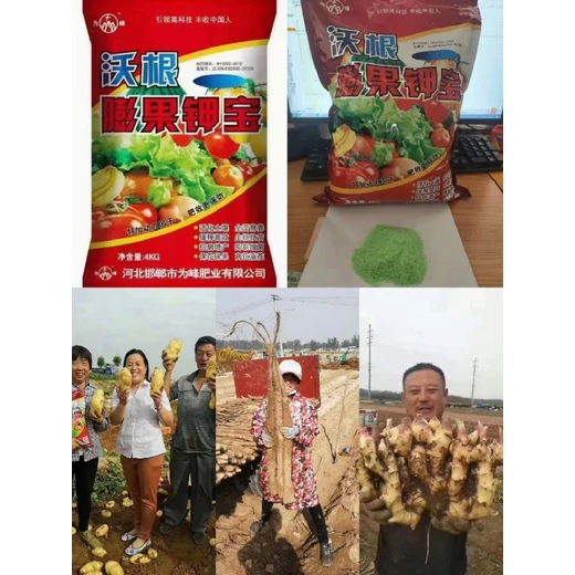 沃根膨果鉀寶廠家生根壯苗，保花保果膨果防裂