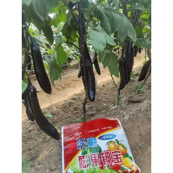 鎂果鉀寶保護花芽促進授粉膨果增甜防裂