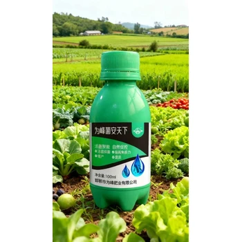 促進生長，提高肥效，抗病抑菌菌安天下