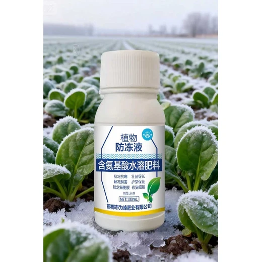 激活植物體酶活性，提高抗寒能力為峰冬安為峰植物防凍液