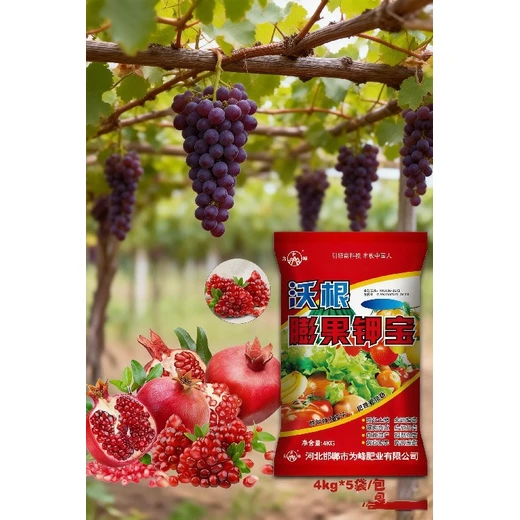 沃土養(yǎng)根，保花膨果，提質(zhì)增收沃根綠葉膨果鉀鈣