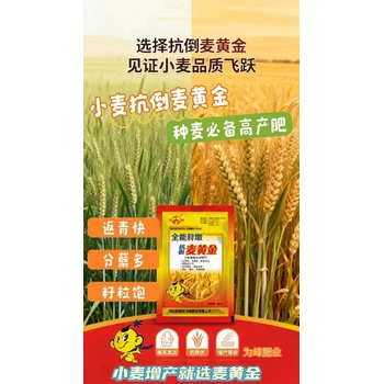 抗倒為峰麥黃金怎么代理返青分蘗多，抗倒粒飽滿提質(zhì)增產(chǎn)