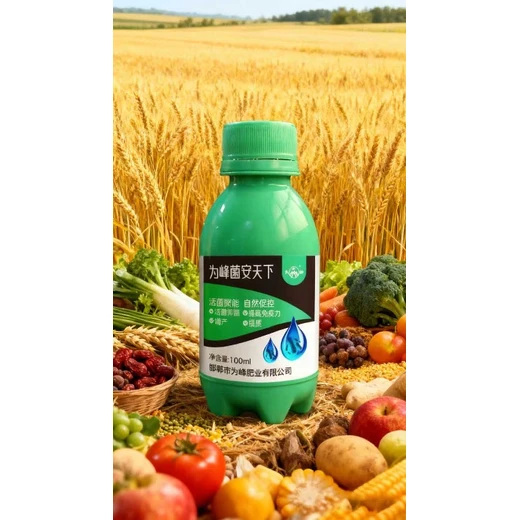 為峰菌安天下效果好