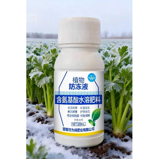 為峰植物防凍液激活植物體酶活性，提高抗寒能力