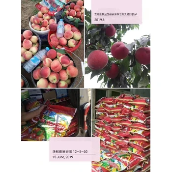 生根改土，膨果防裂果為峰沃根膨果鉀寶