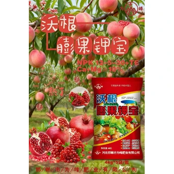 沃根膨果鉀寶怎么代理生根壯苗，?；ū９蚬懒? />
                  </div>
                                <div   id=