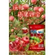 果樹促花授粉美果膨大防裂沃根膨果鉀寶廠家產(chǎn)品圖