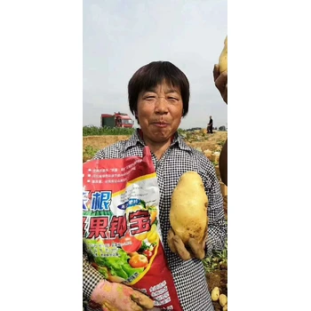 生根改土，膨果防裂果為峰沃根膨果鉀寶