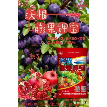 鎂果鉀寶保護花芽促進授粉膨果增甜防裂