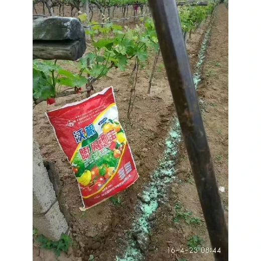 促花保果，膨果上色，甜度倍增沃根膨果鉀寶怎么代理