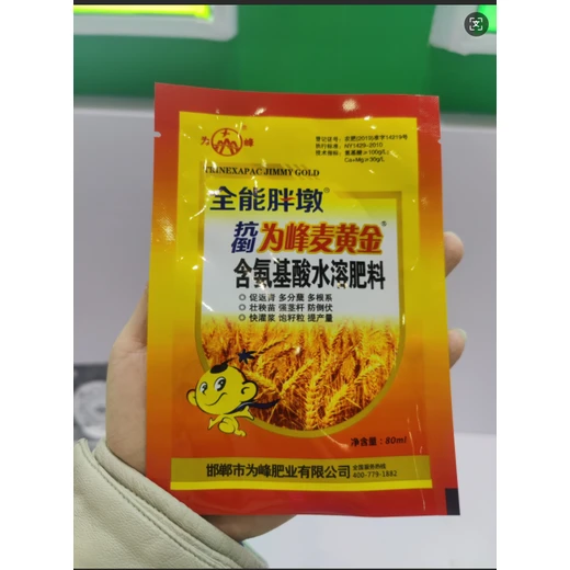 鐵桿麥黃金返青分蘗抗倒伏，粒多粒重增收