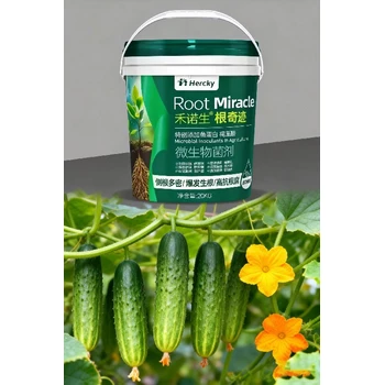 強(qiáng)根促生，壯株提質(zhì)長勢更優(yōu)根奇跡生根肥
