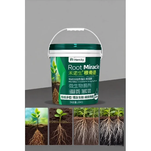 移栽蘸根緩苗快，成活率高恢復(fù)強(qiáng)根奇跡廠家