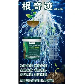 強(qiáng)根促生，壯株提質(zhì)長勢更優(yōu)根奇跡生根肥