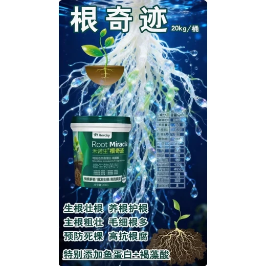根奇跡效果好固根培土，煥根壯株長勢繁茂