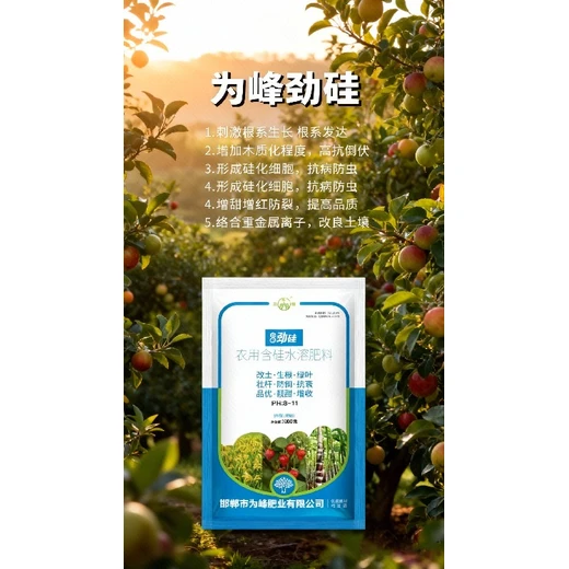 硅肥助力光轉(zhuǎn)化，糖分累積品質(zhì)佳為峰勁硅怎么購買