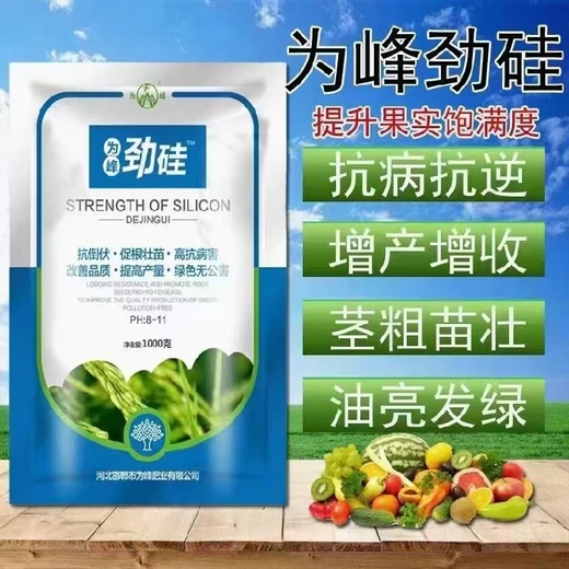 為峰勁硅正品促進早熟上市，提高經濟效益