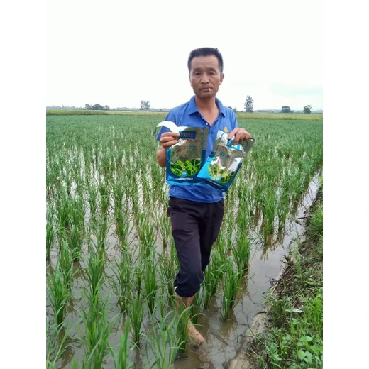 增強(qiáng)抗寒性能，保障越冬安全為峰勁硅價格