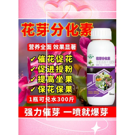 花芽分化素正品告別不開花，一噴花芽涌