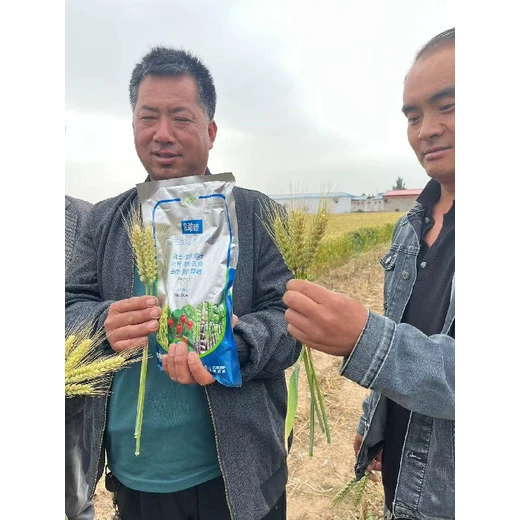 為峰勁硅效果好增強(qiáng)根系活力，促進(jìn)植株健壯