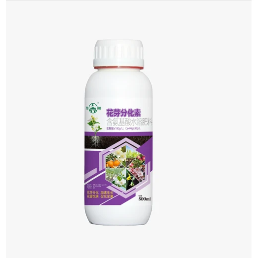 花芽分化素怎么代理告別不開花，一噴花芽涌