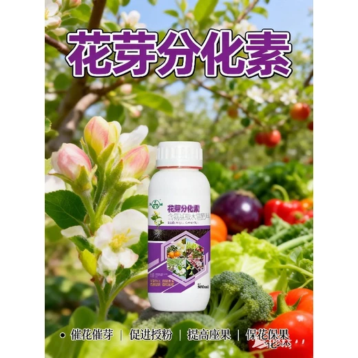 精準(zhǔn)控花期，開花不用等花芽分化素正品