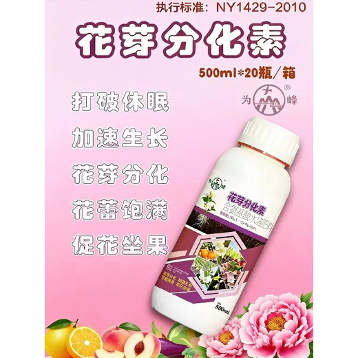 促花強動力，枝枝掛花蕾為峰花芽分化素