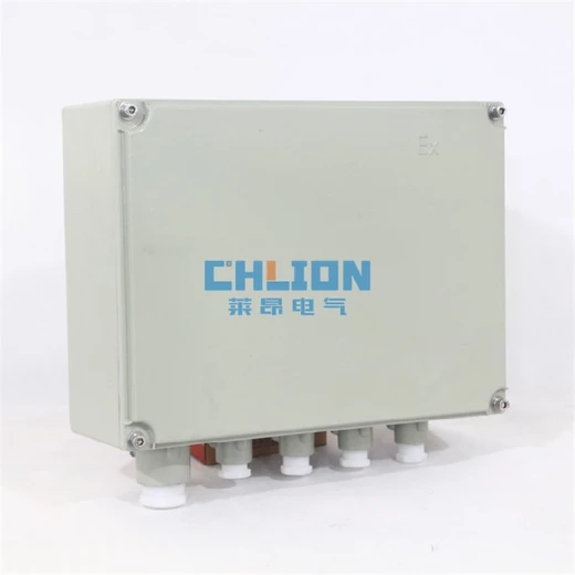 BG不銹鋼搭扣防爆防水盒戶外密封防雨配電按鈕箱