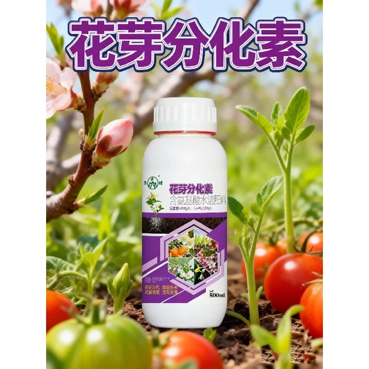花芽分化素正品調(diào)節(jié)雌雄花比，適配授粉需求?
