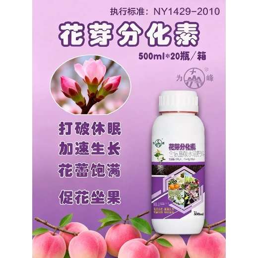 告別不開花，一噴花芽涌花芽分化素正品