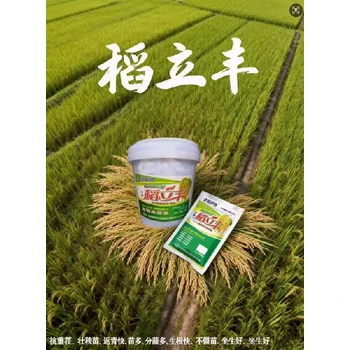 為峰稻立豐深根旺株，返青快且長勢穩(wěn)健水稻返青肥
