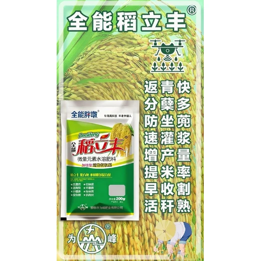 為峰稻立豐快根快返青，秧苗長勢更旺盛水稻返青肥