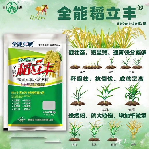 稻立豐怎么代理防倒固稈，莖稈粗壯抗風抗折水稻返青肥