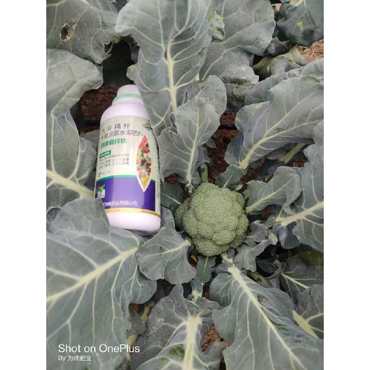 為峰精補(bǔ)鋅助美果靚色，鈣防裂果促花芽