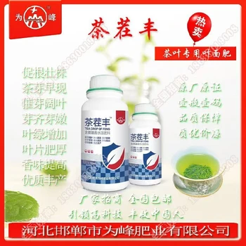 新芽萌發(fā)茶花賦茶葉葉面肥代理,為峰肥業(yè)茶茬豐廠家批發(fā)