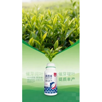 催芽劑茶茬豐茶葉葉面肥作用,茶豐素茶葉高產(chǎn)肥