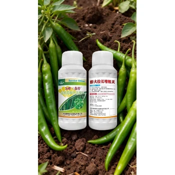 辣椒專用辣椒膨大拉長(zhǎng)素辣椒葉面肥排名,為峰肥業(yè)辣椒增產(chǎn)肥