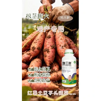 甜菜蓮藕地一胖根莖膨大劑用法用量,為峰肥業(yè)地三胖