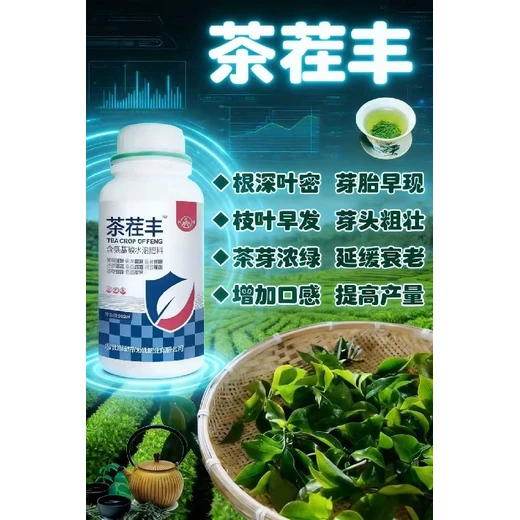 催芽養(yǎng)芽強(qiáng)長(zhǎng)勢(shì)，芽多芽肥提品質(zhì)茶茬豐價(jià)格