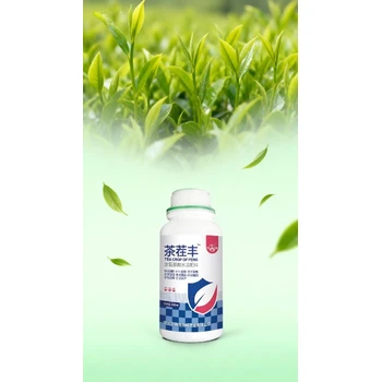 花芽催化催芽劑茶葉葉面肥怎么樣,為峰肥業(yè)茶樹催芽劑