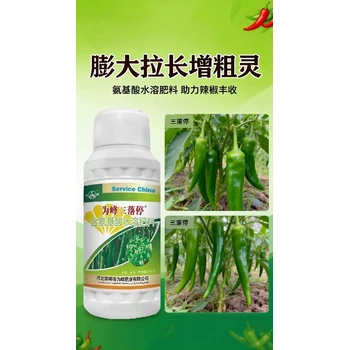 辣椒專用辣椒增產(chǎn)辣椒葉面肥效果,為峰肥業(yè)辣椒增產(chǎn)肥